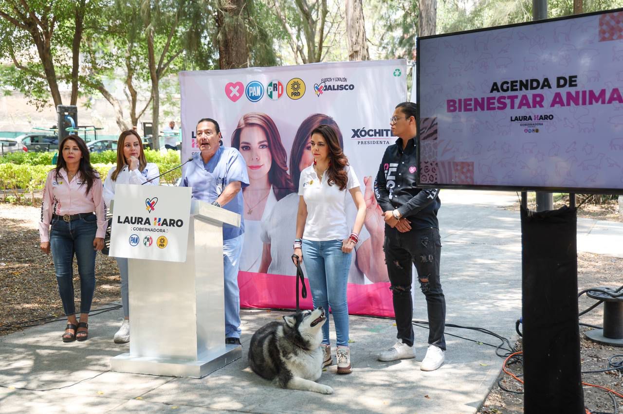 banner-princial