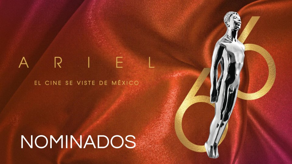 banner-princial