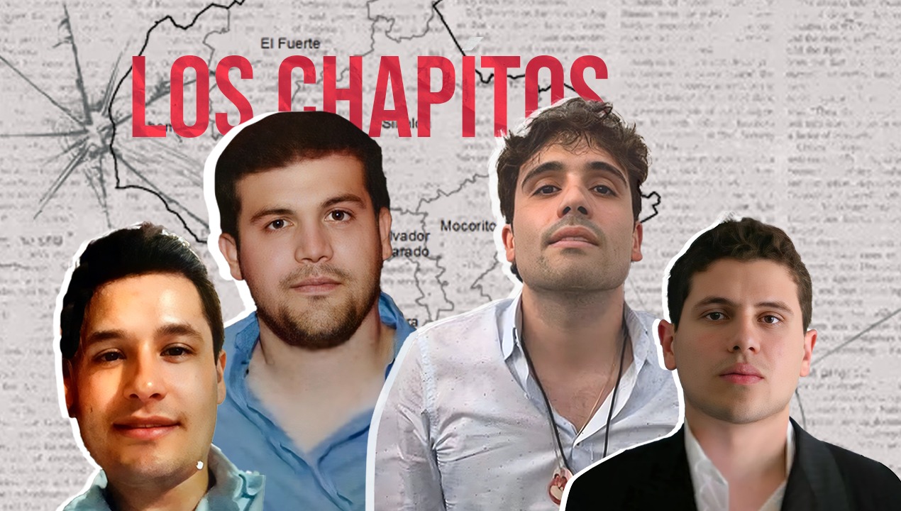banner-princial