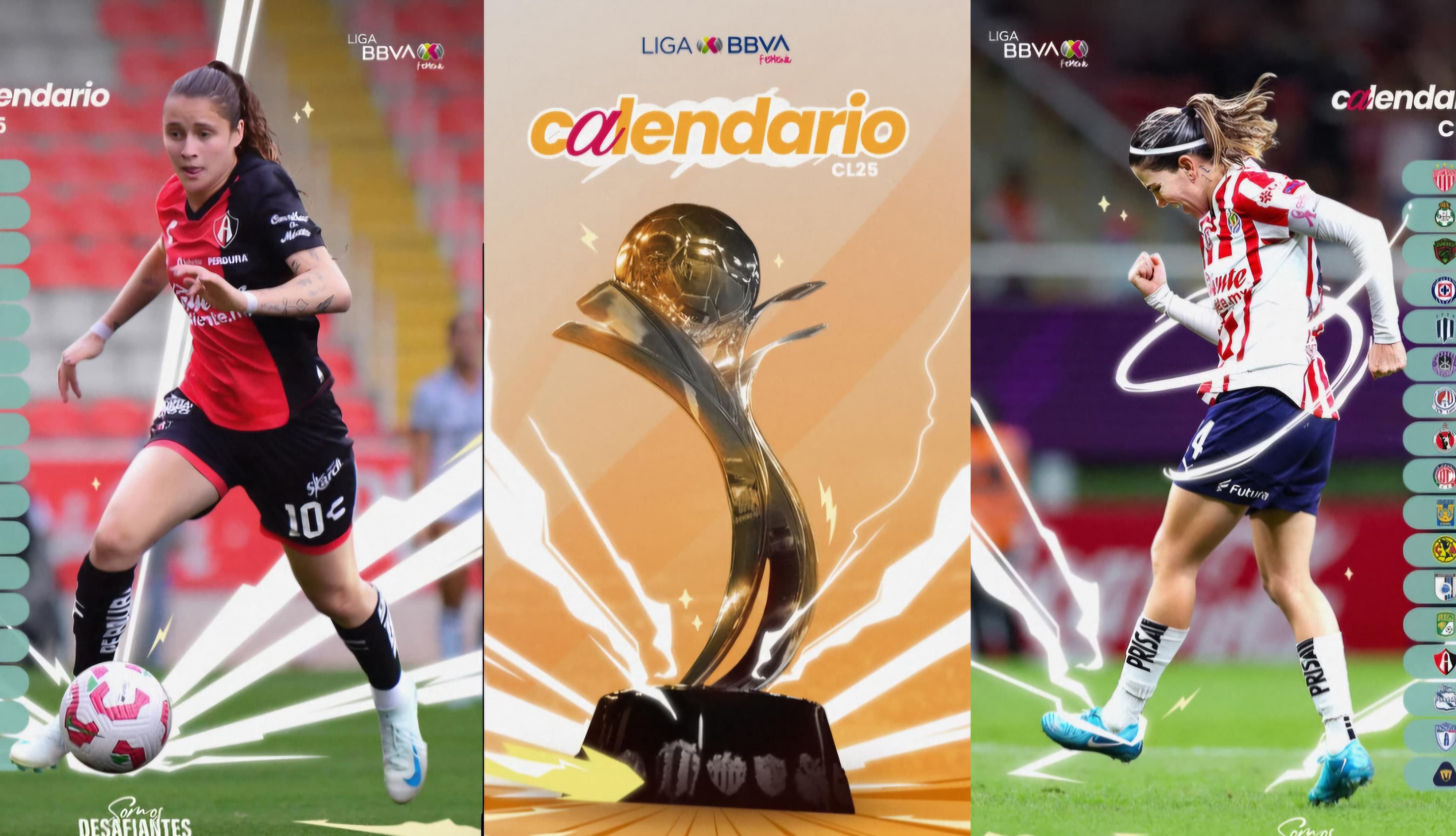 banner-princial