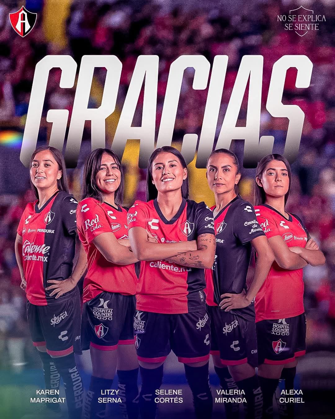 banner-princial