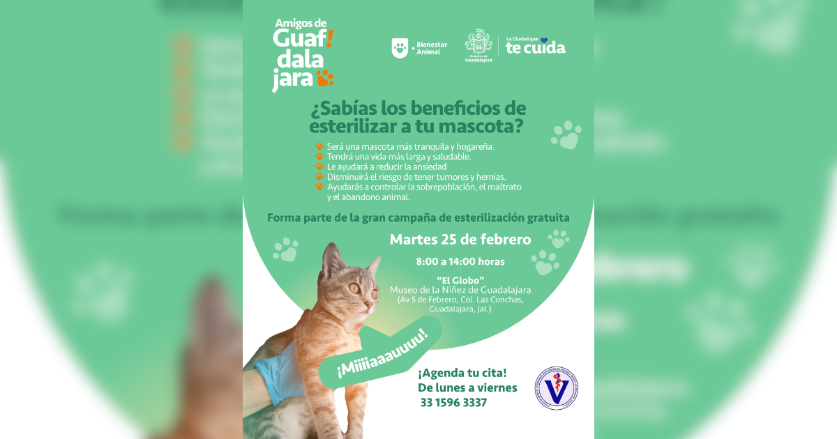 banner-princial