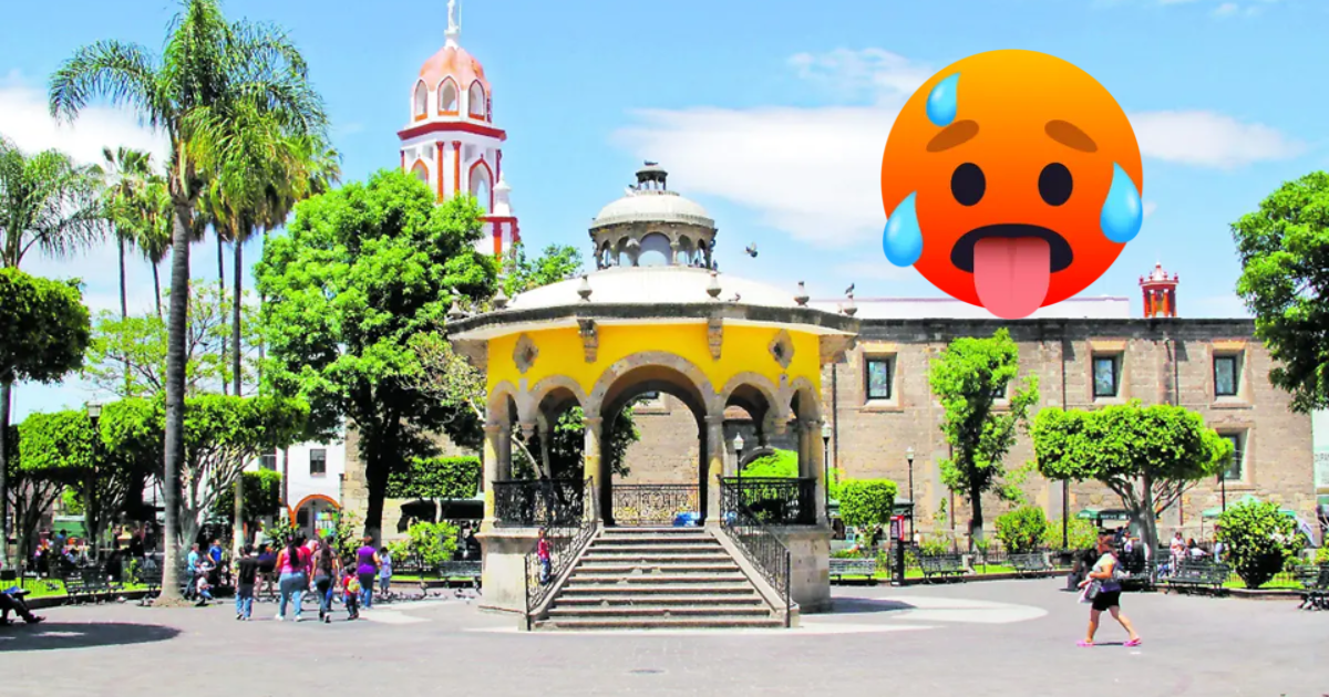 banner-princial