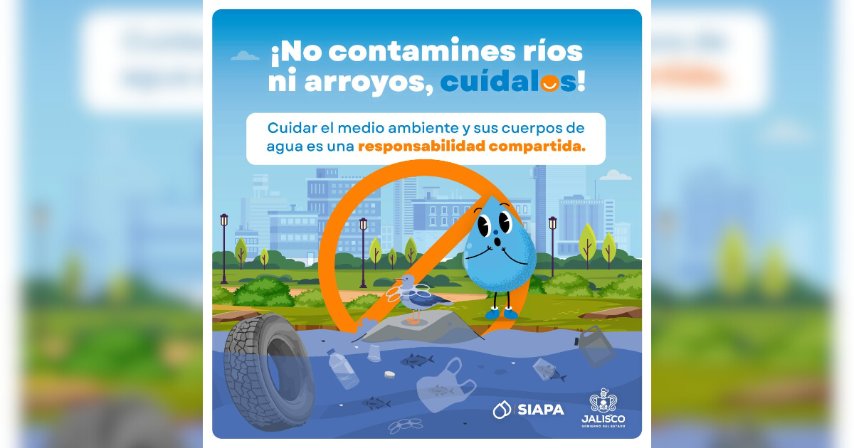 banner-princial
