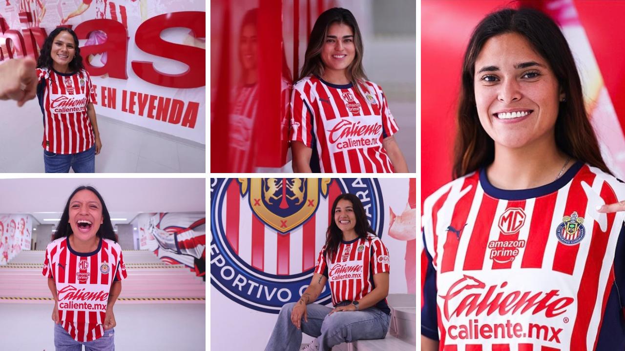 banner-princial